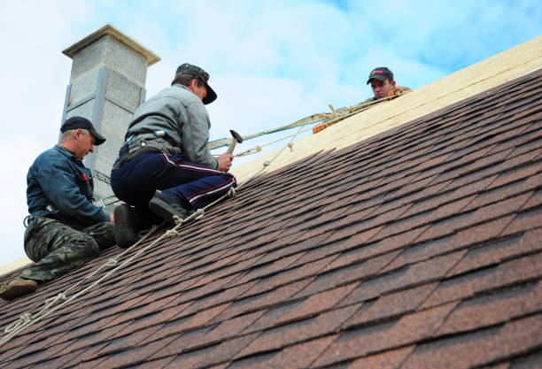 Best Storm Damage Roof Repair  in Cudahy, WI